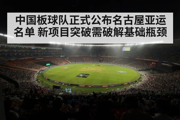 cricket stadium match(jiuyouhui)